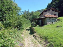 Molina (670 m) - Faggeto Lario | Randonnée de Molina au Mont Bolettone