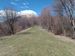 Col de Sciff (1255 m) | Randonnée de Palanzo au Mont Palanzone