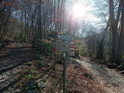 Via Mont Palanzone (805 m) | Randonnée de Palanzo au Mont Palanzone