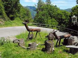 Via per Bisbino | Rovenna - Lac de Côme