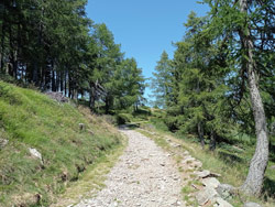 Sentier militaire du Monte Legnoncino (1570 m) | Excursion de Sueglio à Monte Legnoncino