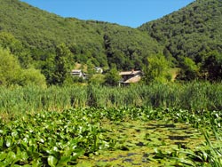 Le étang (La Bolla)  - Monti di Erno (1070 m) | Excursion de Veleso au monte San Primo
