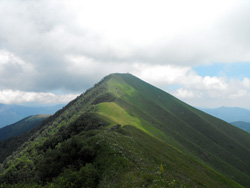 Le crête NW (1590 m) - Monte S.Primo | Excursion de Veleso au monte San Primo