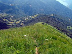 Le crête sud (1440 m) - Monte S.Primo | Excursion de Veleso au monte San Primo